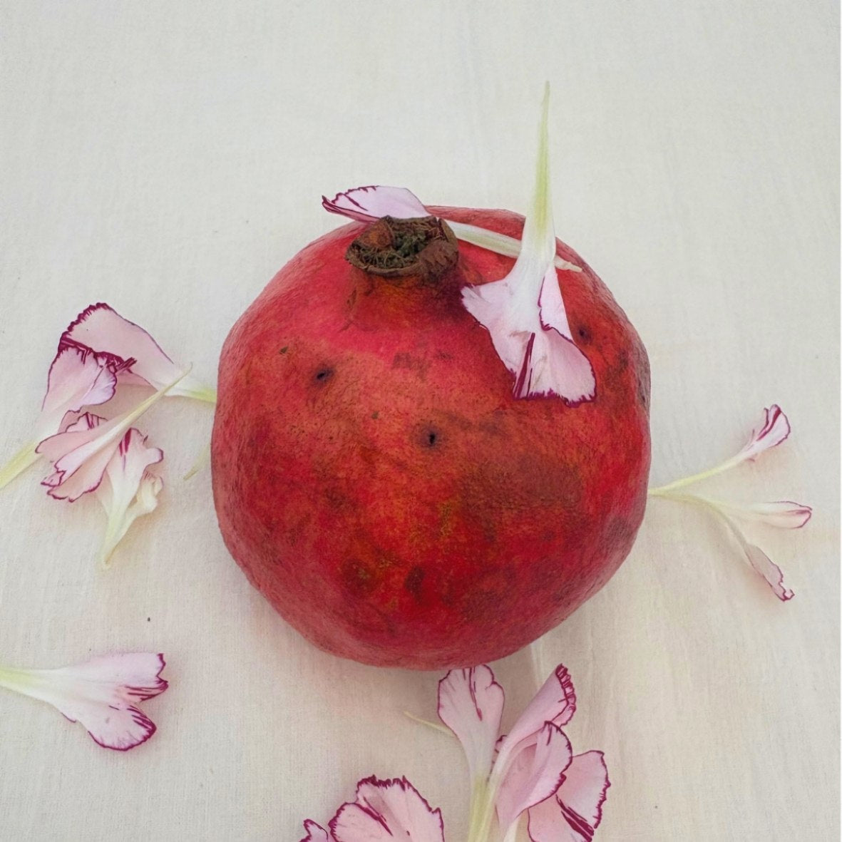 Anar Poetry Necklace Set